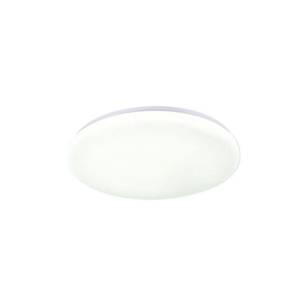 OY60 - Minimalist Oyster Light