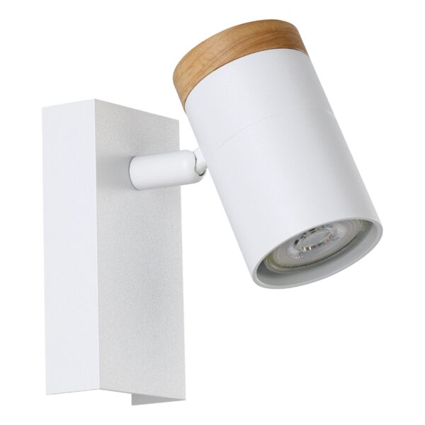 Sp24wht1