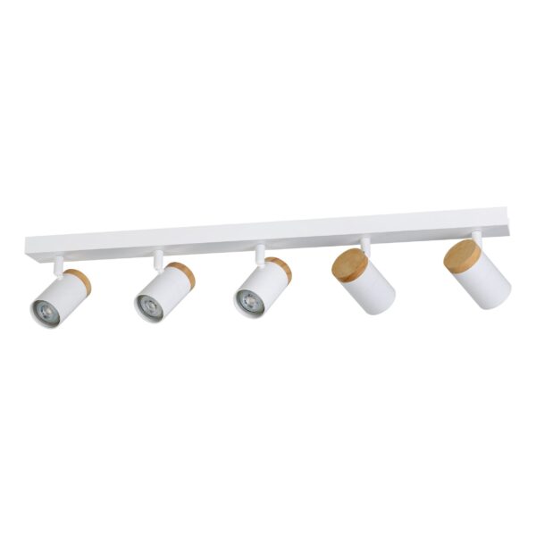 Sp24wht5