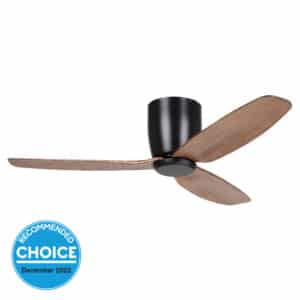 20523406_CHOICE