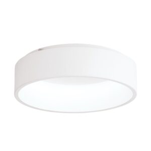 oy41wht light