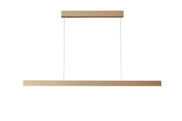 P461 suspended pendant light