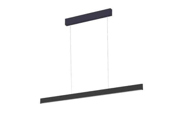 P461blk light